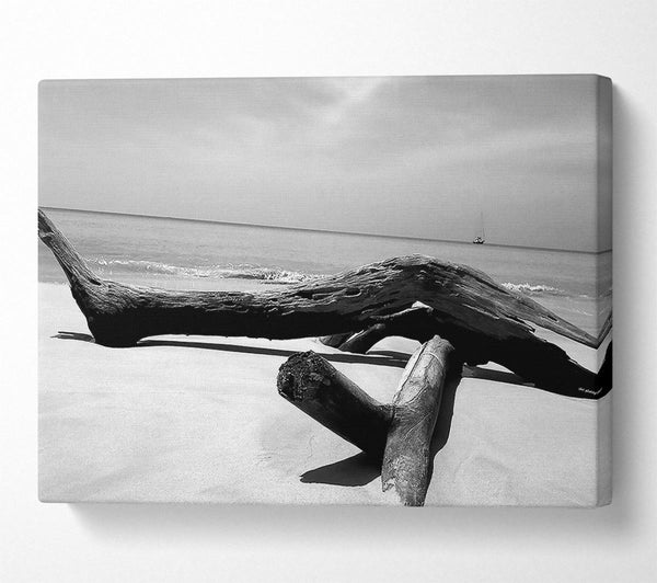  A Canvas Print of Ocean Drift Wood On The Shore B n W Canvas Print