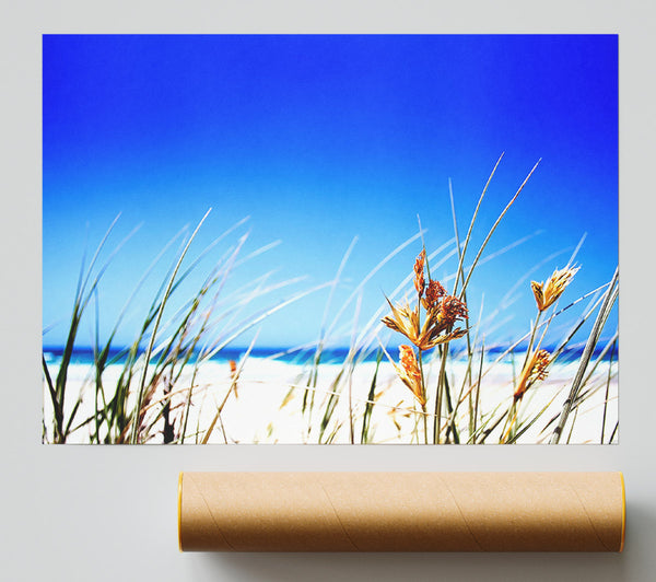 Clear Beach Sky Print