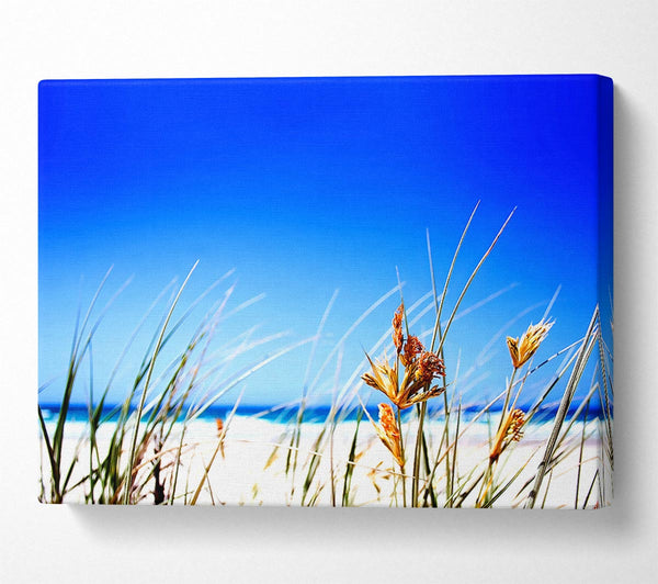  A Canvas Print of Clear Beach Sky Canvas Art