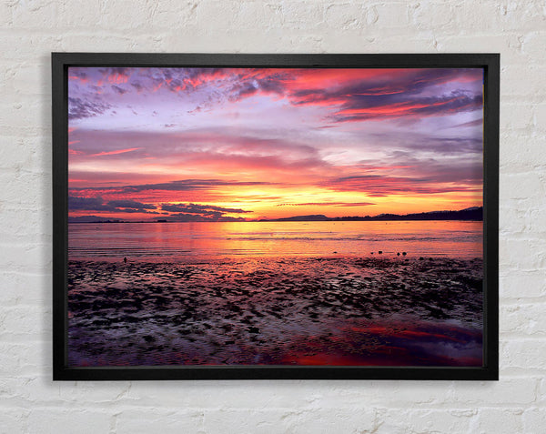 Pebbles In the Morning Sunrise