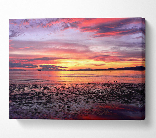  A Canvas Print of Pebbles In the Morning Sunrise Canvas Print