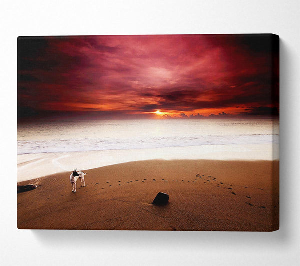  A Canvas Print of Dog On The Sunset Beach Canvas Wall Art