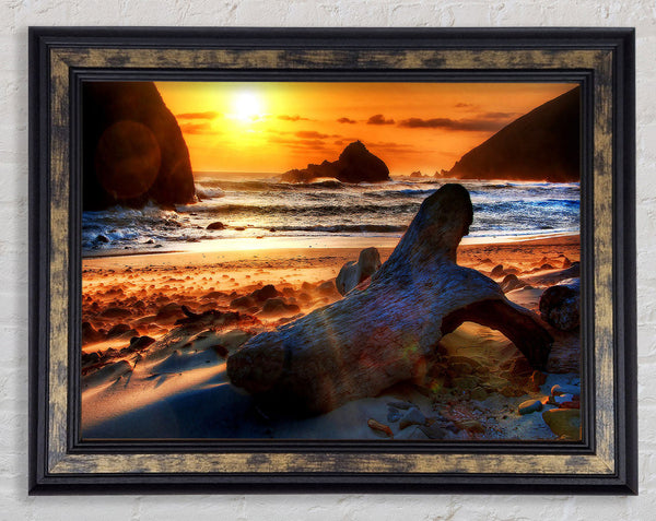 Driftwood At Sunset Framed Print