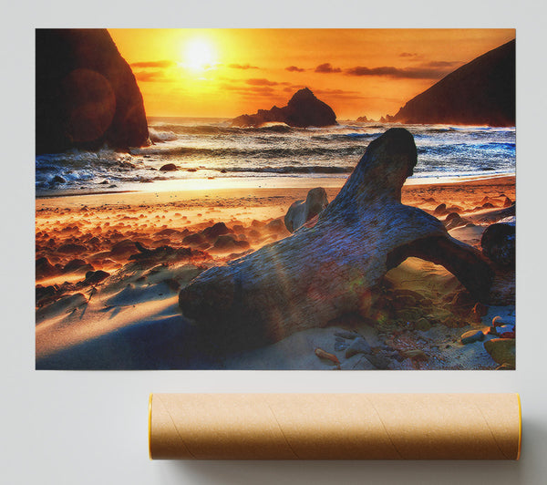 Driftwood At Sunset Giclee Print