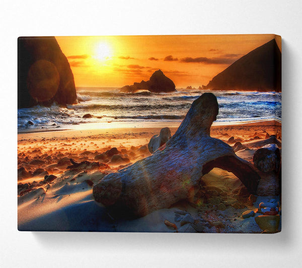  A Canvas Print of Driftwood At Sunset Canvas Art