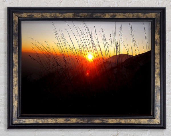 Dusk Through The Reeds Framed Print