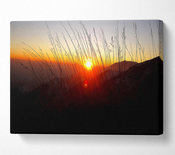  A Canvas Print of Dusk Through The Reeds Canvas Print