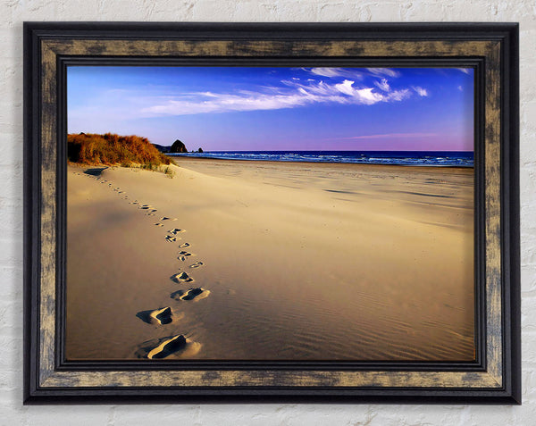 Footprints Of Time Framed Print