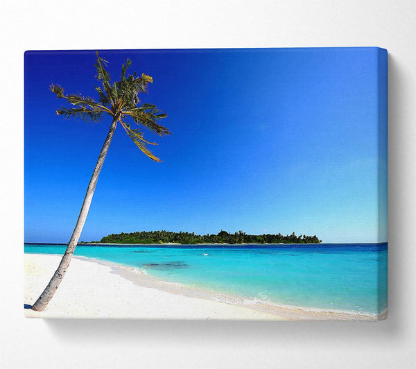  A Canvas Print of Maldivian Beach Canvas Wall Art