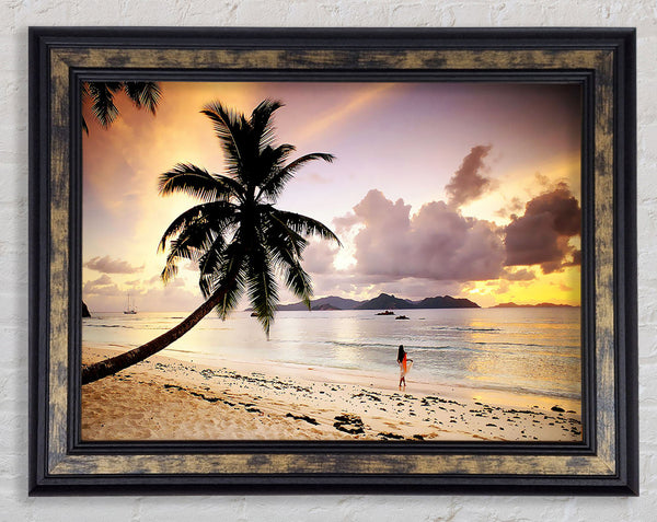 Rainbow Paradise Framed Print