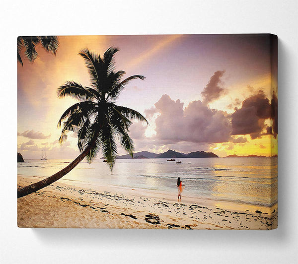  A Canvas Print of Rainbow Paradise Canvas Print