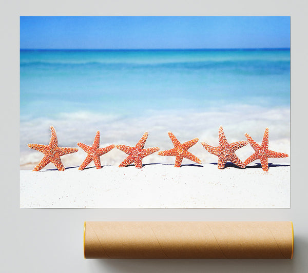 Star Fish Line-Up Giclee Print