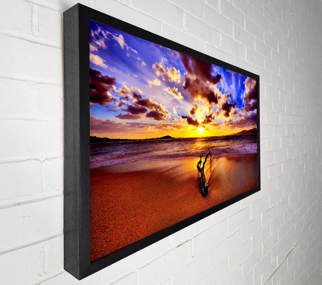 A Canvas Print of Stunning Ocean Driftwood Canvas Print