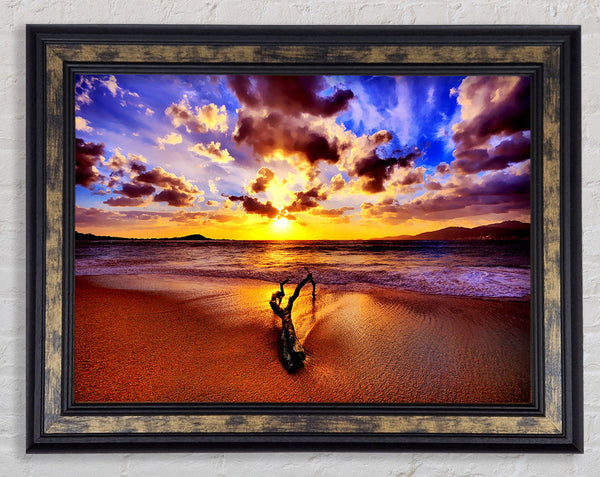 Stunning Ocean Driftwood Framed Print