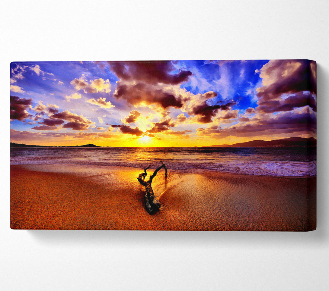  A Canvas Print of Stunning Ocean Driftwood Canvas Print