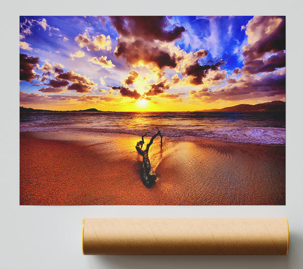 Stunning Ocean Driftwood Poster