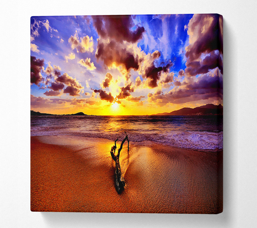  A Canvas Print of Stunning Ocean Driftwood Canvas Print