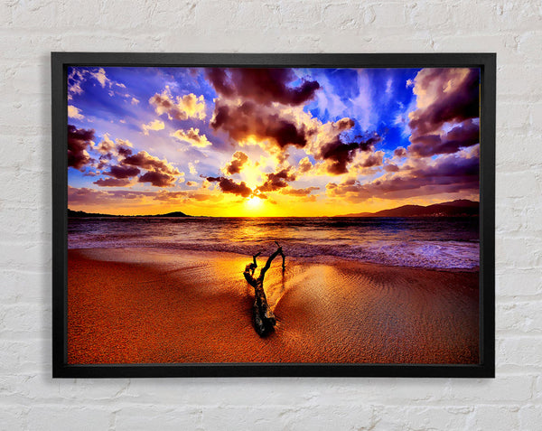 Stunning Ocean Driftwood Framed Print