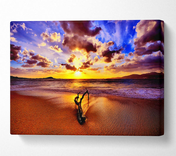  A Canvas Print of Stunning Ocean Driftwood Canvas Print