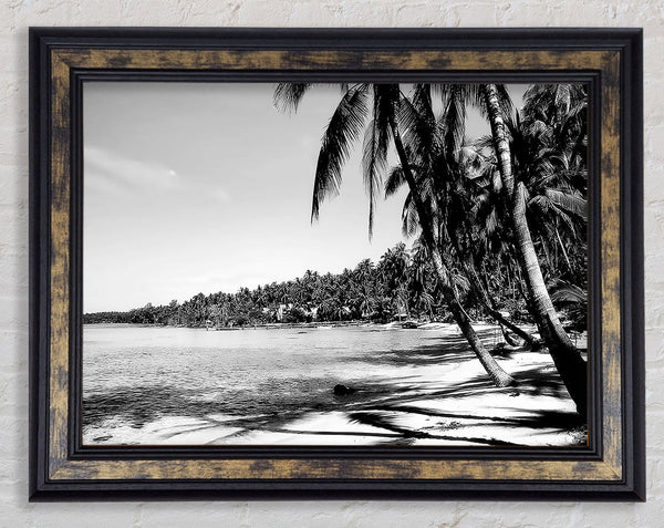 Beach Palms B n W Framed Print