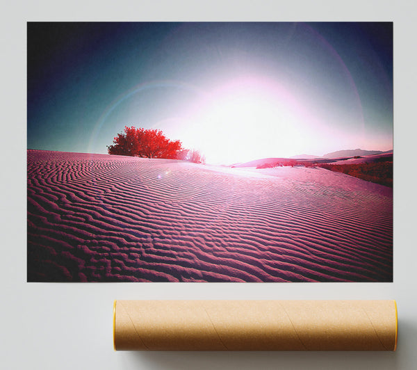 Desert Flare Print