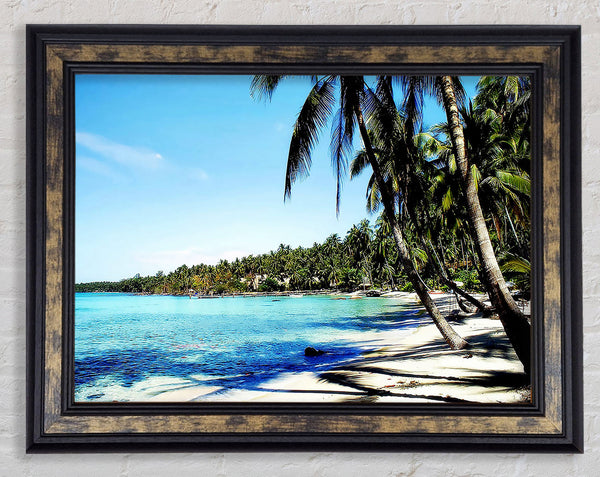 Relaxing Palm Tree Island Framed Print