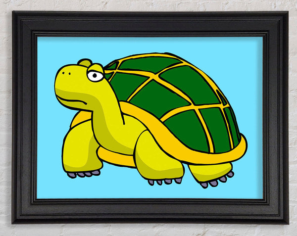 Große Schildkröte Baby Blau 