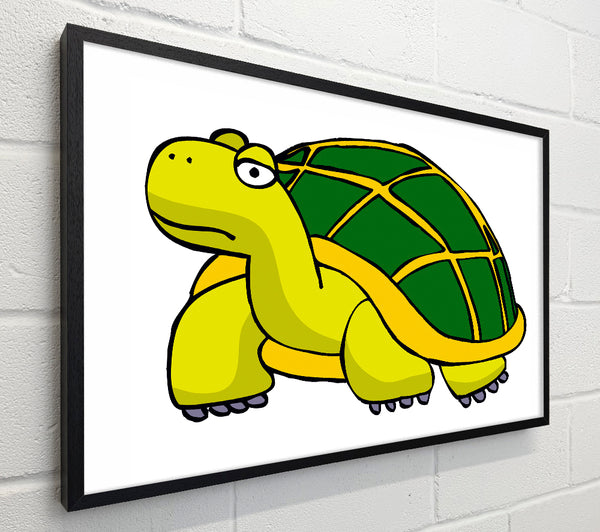 Big Turtle White