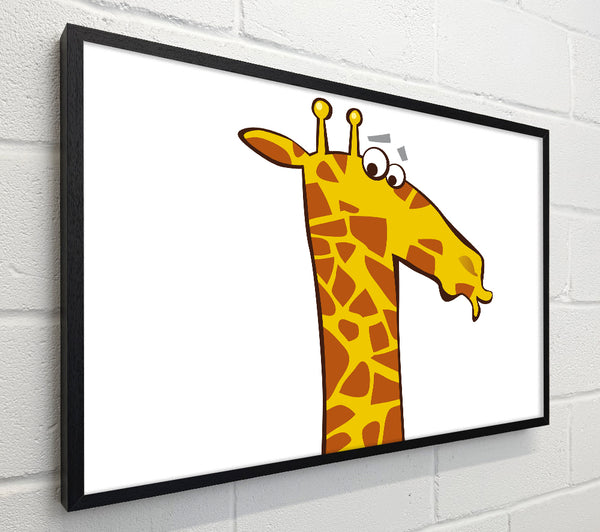 Funny Confused Zebra White