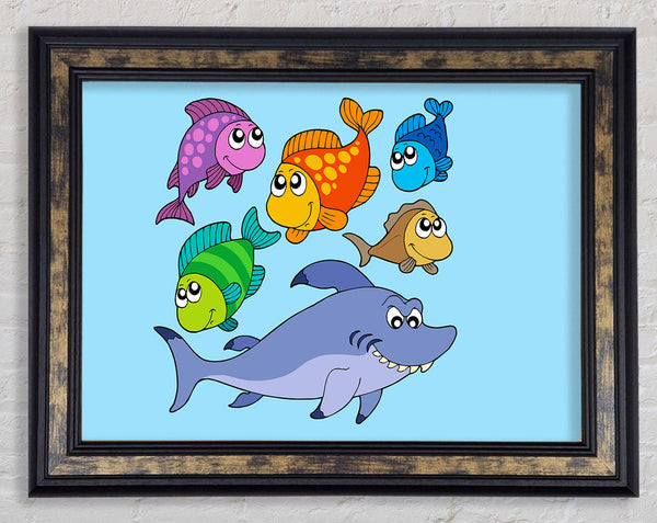 Shark And Fish Baby Blue