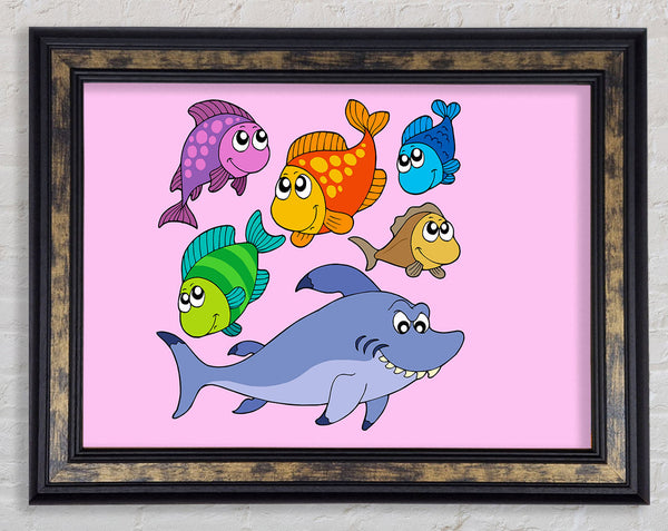 Shark And Fish Pink