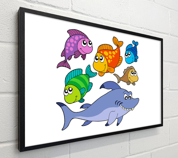 Shark And Fish White