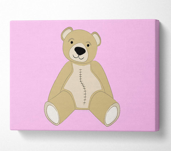 Stitched Up Teddy Pink