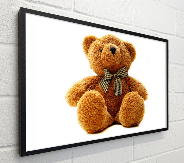Teddy Bear Bow White