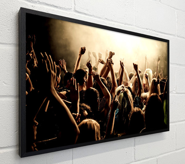 Concert Crowd