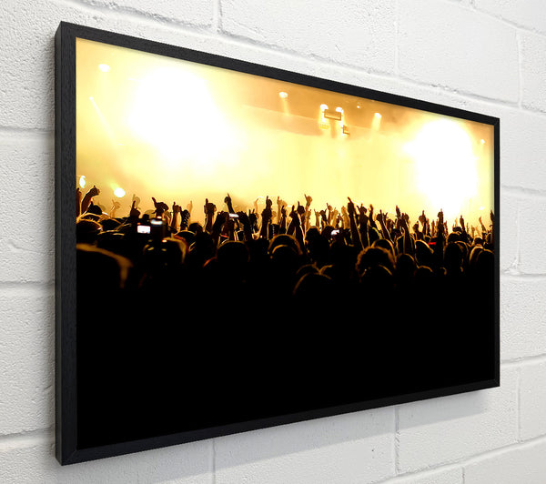 Concert Musical Freedom