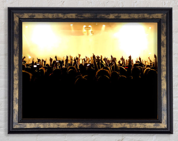Concert Musical Freedom Framed Print