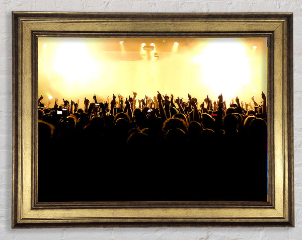 Concert Musical Freedom Framed Print