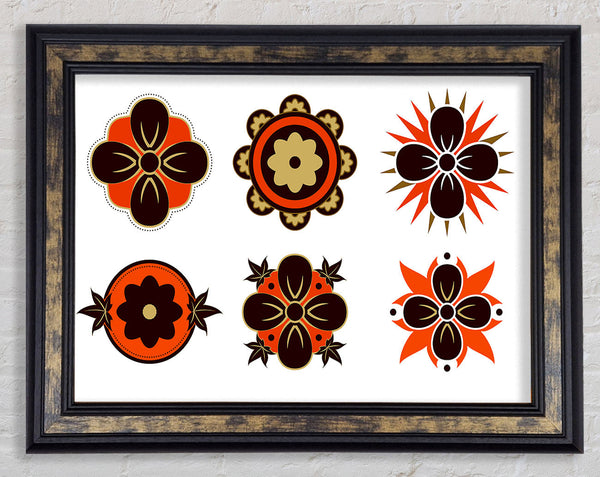 Orange And Brown Flower Heads Framed Print