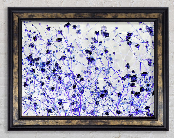 Soft Purple Flowers Framed Print