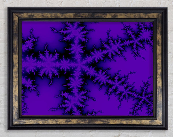 Internal Snow Flake Black On Purple Framed Print