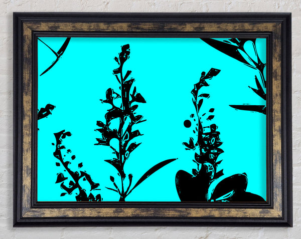 Freshness Of Beauty Aqua Black Framed Print