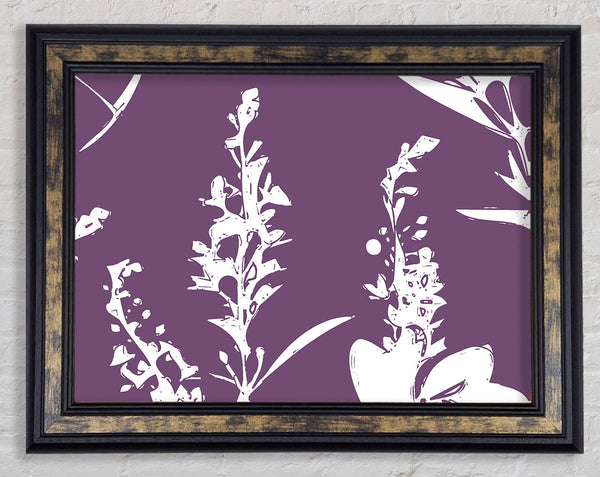 Freshness Of Beauty Lilac Framed Print