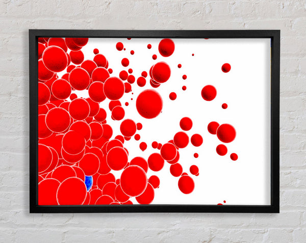 Rote Blasen
