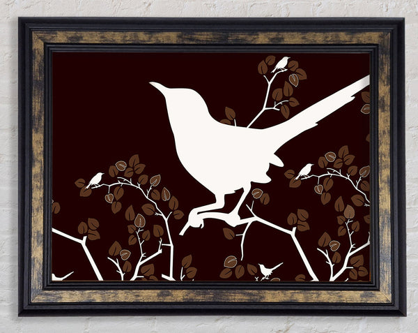 Song Bird Brown Framed Print