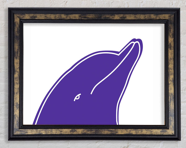 Purple Dolphin Framed Print