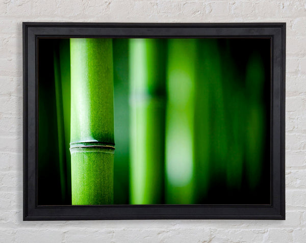Green Bamboo Close-Up Framed Print