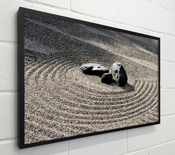 Stone Crop