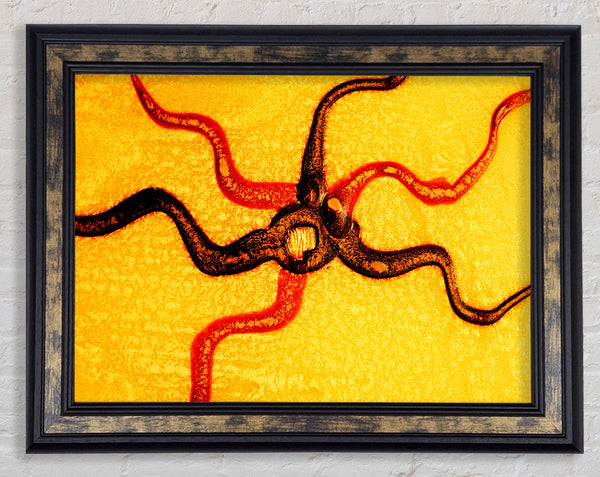 Rays Of The Sun Framed Print