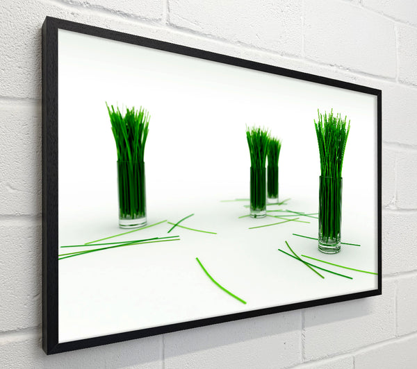 Wheat Glass Grass